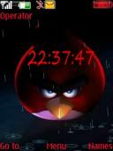 Angry Bird